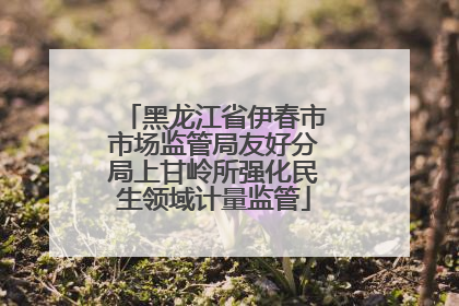 黑龙江省伊春市市场监管局友好分局上甘岭所强化民生领域计量监管