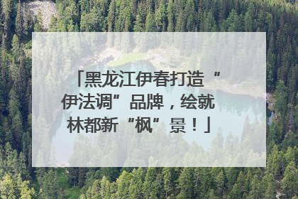 黑龙江伊春打造“伊法调”品牌，绘就林都新“枫”景！