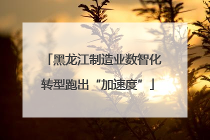黑龙江制造业数智化转型跑出“加速度”