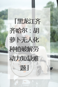 黑龙江齐齐哈尔：胡萝卜无人化种植破解劳动力短缺难题