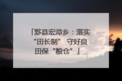 黟县宏潭乡：落实“田长制” 守好良田保“粮仓”