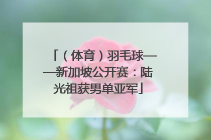 （体育）羽毛球——新加坡公开赛：陆光祖获男单亚军