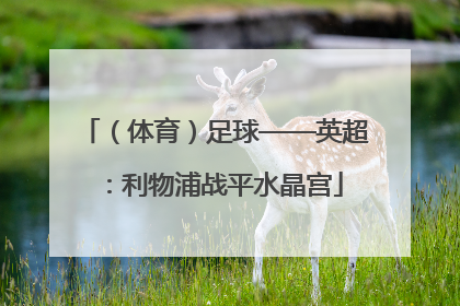 （体育）足球——英超：利物浦战平水晶宫