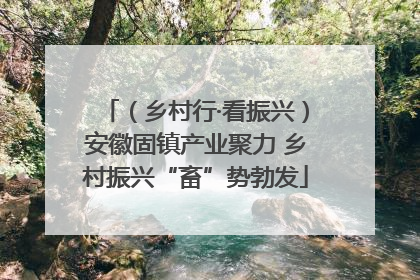 （乡村行·看振兴）安徽固镇产业聚力 乡村振兴“畜”势勃发