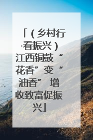 （乡村行·看振兴）江西铜鼓“花香”变“油香” 增收致富促振兴