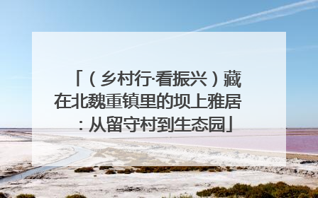 （乡村行·看振兴）藏在北魏重镇里的坝上雅居：从留守村到生态园