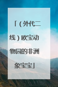 （外代二线）欧宝动物园的非洲象宝宝