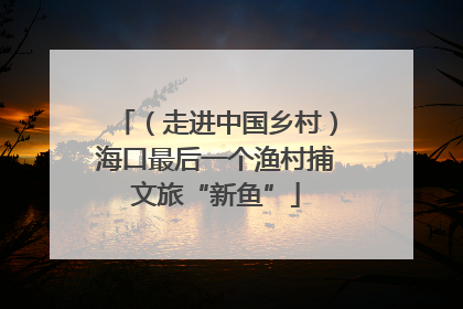 （走进中国乡村）海口最后一个渔村捕文旅“新鱼”