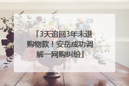 3天追回3年未退购物款！安岳成功调解一网购纠纷
