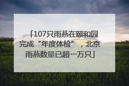 107只雨燕在颐和园完成“年度体检”，北京雨燕数量已超一万只
