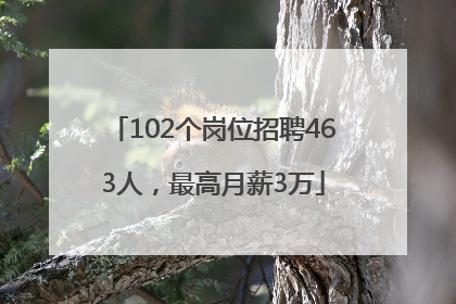 102个岗位招聘463人，最高月薪3万