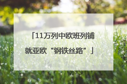 11万列中欧班列铺就亚欧“钢铁丝路”