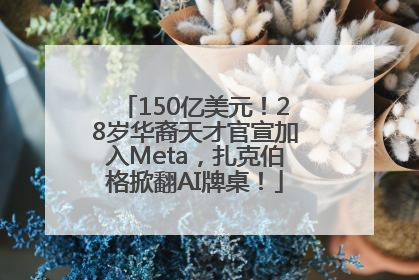 150亿美元！28岁华裔天才官宣加入Meta，扎克伯格掀翻AI牌桌！