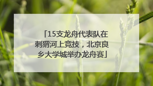 15支龙舟代表队在刺猬河上竞技，北京良乡大学城举办龙舟赛