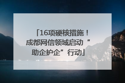 16项硬核措施！成都网信领域启动“助企护企”行动