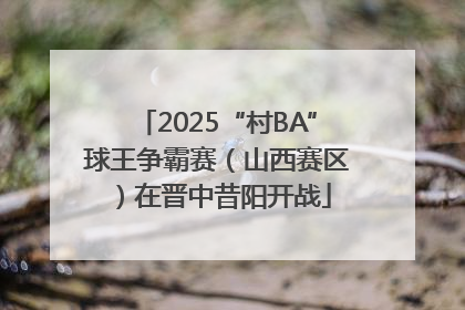 2025“村BA”球王争霸赛（山西赛区）在晋中昔阳开战