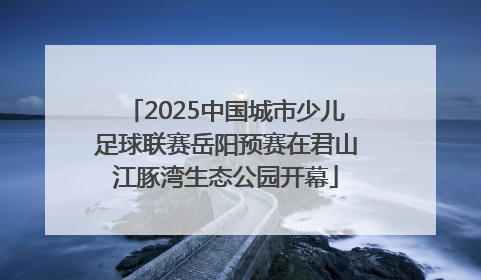 2025中国城市少儿足球联赛岳阳预赛在君山江豚湾生态公园开幕