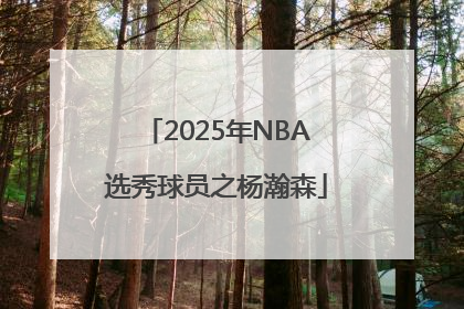 2025年NBA选秀球员之杨瀚森
