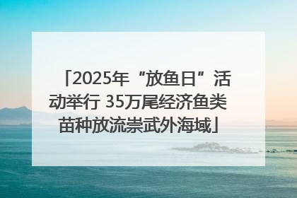 2025年“放鱼日”活动举行 35万尾经济鱼类苗种放流崇武外海域