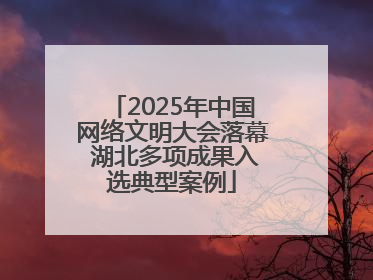 2025年中国网络文明大会落幕 湖北多项成果入选典型案例