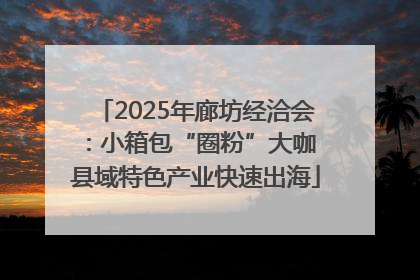 2025年廊坊经洽会：小箱包“圈粉”大咖 县域特色产业快速出海