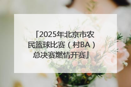 2025年北京市农民篮球比赛（村BA）总决赛燃情开赛