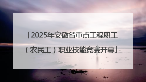 2025年安徽省重点工程职工（农民工）职业技能竞赛开幕