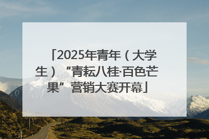 2025年青年（大学生）“青耘八桂·百色芒果”营销大赛开幕