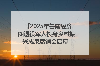 2025年鲁南经济圈退役军人投身乡村振兴成果展销会启幕