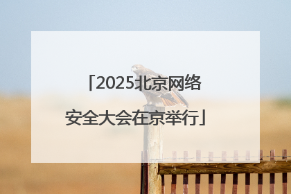 2025北京网络安全大会在京举行