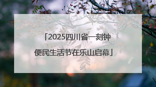 2025四川省一刻钟便民生活节在乐山启幕