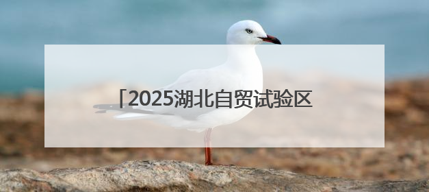 2025湖北自贸试验区（襄阳都市圈）外贸主体培育活动赋能汽车出海