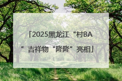 2025黑龙江“村BA”吉祥物“隆隆”亮相