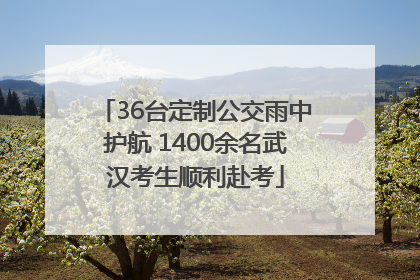 36台定制公交雨中护航 1400余名武汉考生顺利赴考