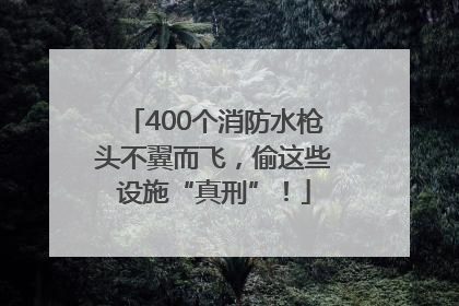 400个消防水枪头不翼而飞，偷这些设施“真刑”！