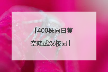 400株向日葵空降武汉校园