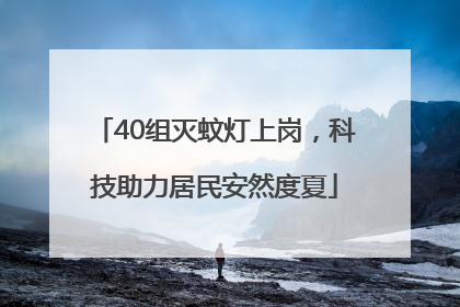 40组灭蚊灯上岗，科技助力居民安然度夏