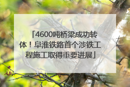 4600吨桥梁成功转体！阜淮铁路首个涉铁工程施工取得重要进展