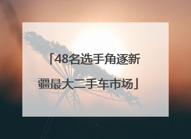 48名选手角逐新疆最大二手车市场