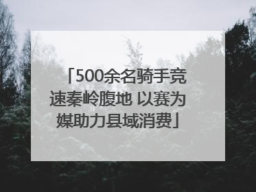 500余名骑手竞速秦岭腹地 以赛为媒助力县域消费