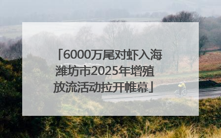 6000万尾对虾入海 潍坊市2025年增殖放流活动拉开帷幕
