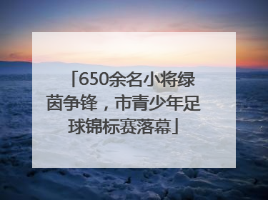 650余名小将绿茵争锋，市青少年足球锦标赛落幕