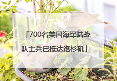 700名美国海军陆战队士兵已抵达洛杉矶