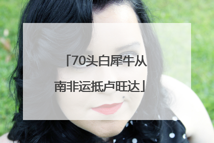 70头白犀牛从南非运抵卢旺达