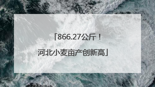 866.27公斤！河北小麦亩产创新高