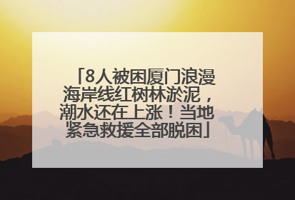 8人被困厦门浪漫海岸线红树林淤泥，潮水还在上涨！当地紧急救援全部脱困