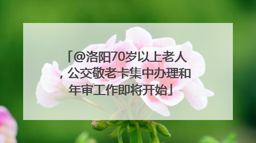 @洛阳70岁以上老人，公交敬老卡集中办理和年审工作即将开始