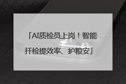 AI质检员上岗！智能扦检提效率、护粮安