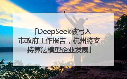 DeepSeek被写入市政府工作报告，杭州将支持算法模型企业发展