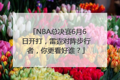 NBA总决赛6月6日开打，雷霆对阵步行者，你更看好谁？